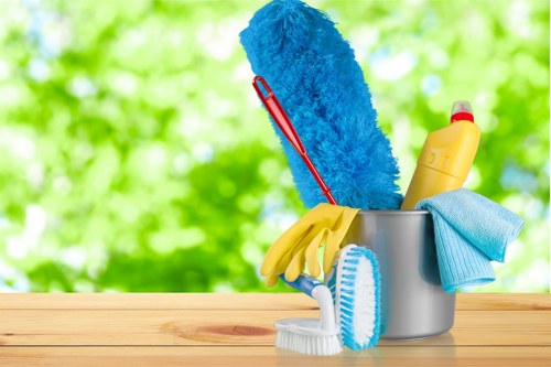 Dust and allergen removal during mattress cleaning in Southgate