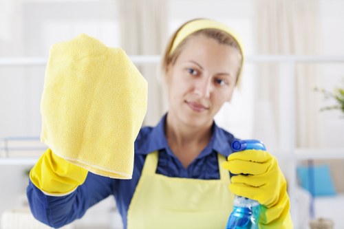 Carpet cleaning team using environmentally responsible recycling practices in Southgate