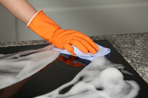 Professional carpet cleaning in Southgate living room