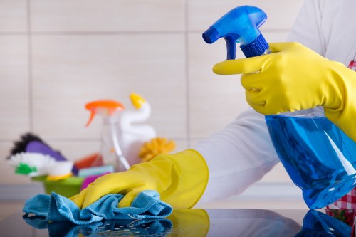 Steam carpet cleaning equipment in a Southgate home