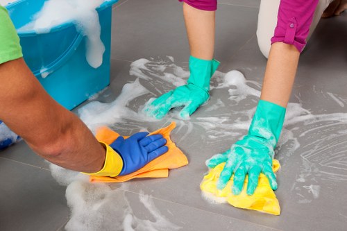 Reviewing a carpet cleaning complaint form and service details