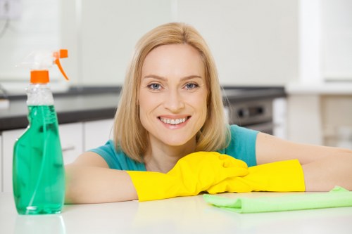 Professional pet stain odour removal in a Southgate home carpet