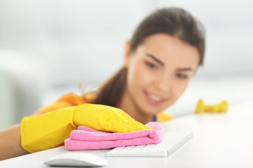 Deep rug cleaning process removing dirt and allergens