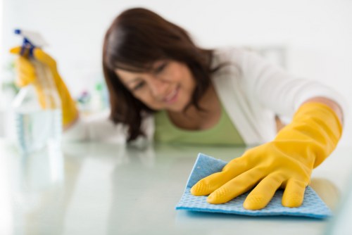 Deep carpet cleaning service in Southgate home