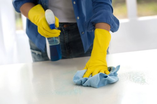 Upholstery stain removal and furniture cleaning in Southgate