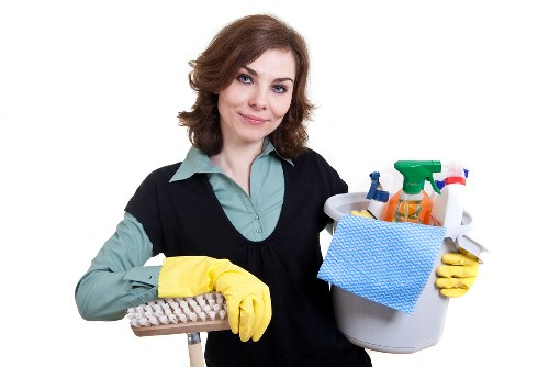Common pet stains and odours on upholstery and rugs in Southgate