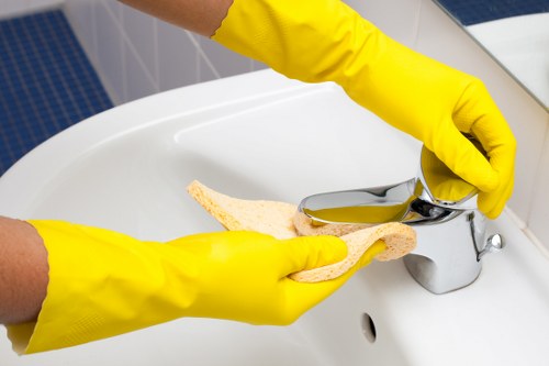Deep carpet cleaning equipment used in a Southgate home